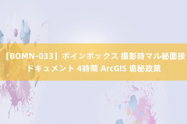 【BOMN-033】ボインボックス 撮影時マル秘面接ドキュメント 4時間 ArcGIS 诡秘政策