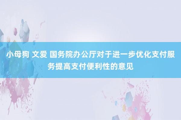 小母狗 文爱 国务院办公厅对于进一步优化支付服务提高支付便利性的意见