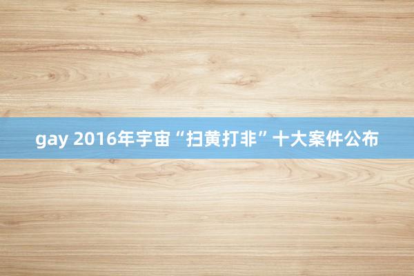 gay 2016年宇宙“扫黄打非”十大案件公布