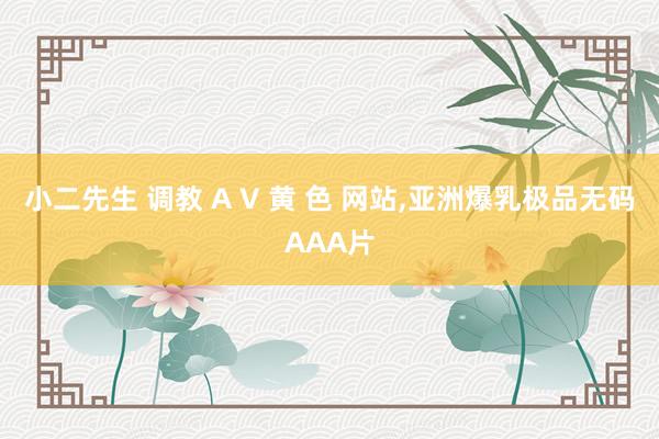 小二先生 调教 A V 黄 色 网站,亚洲爆乳极品无码AAA片