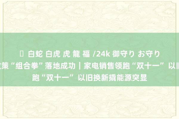 ✨白蛇 白虎 虎 龍 福 /24k 御守り お守り 财经聚焦·激情政策“组合拳”落地成功｜家电销售领跑“双十一” 以旧换新撬能源突显